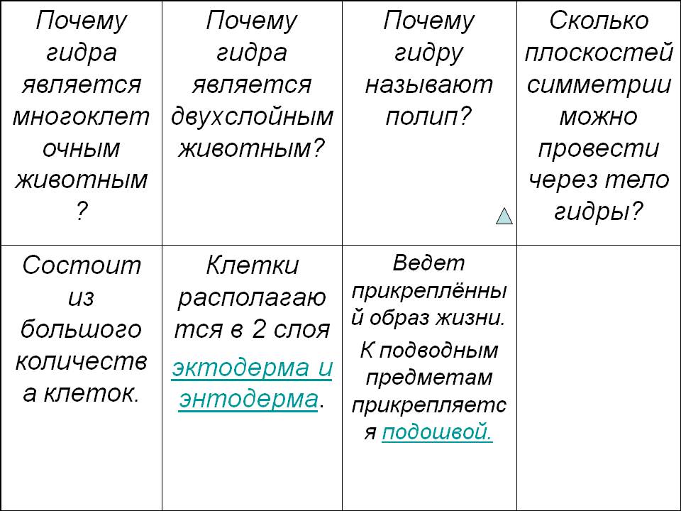Ссылка кракен официальная тор