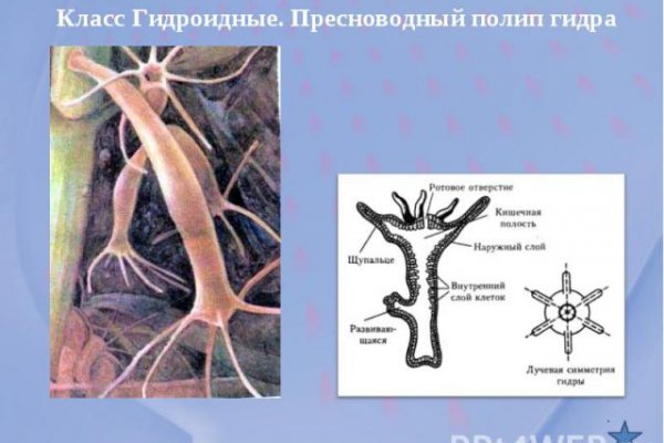Кракен маркетплейс что это