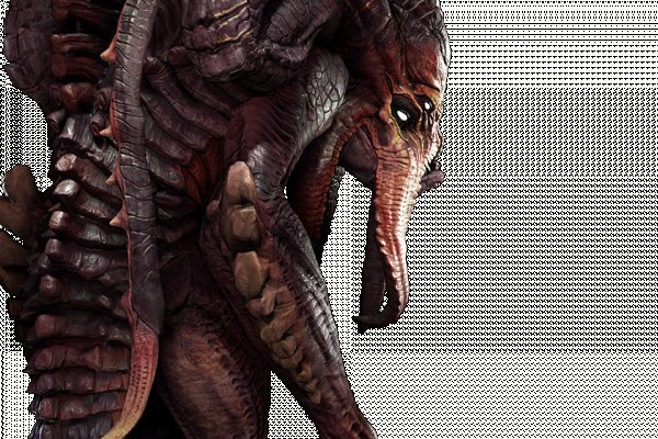Kraken tor link