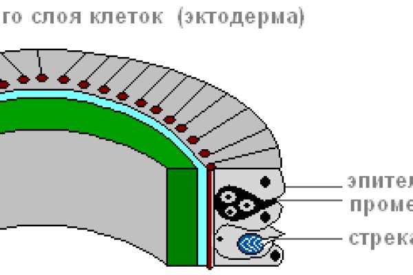 Kraken в россии