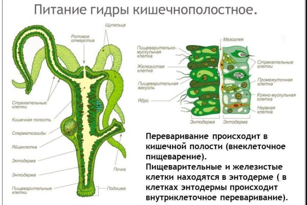 Ссылка на кракен оригинал