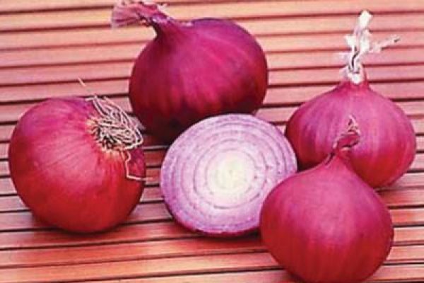 Ссылка кракен kr2web in