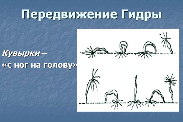 Оригинальный сайт кракен