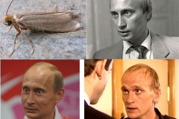 Кракен маркет darknet
