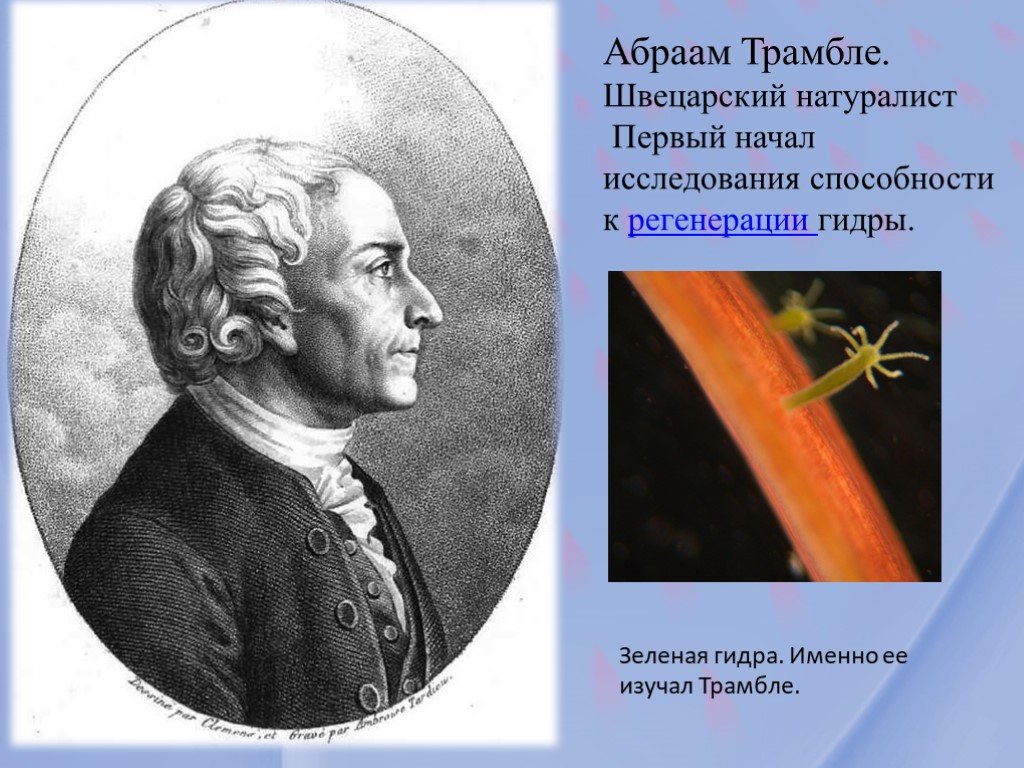 Как сделать заказ на кракен